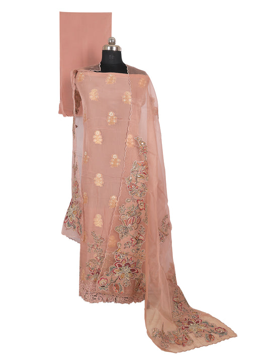 RAAS Pure Soft Organza with Applique Patch unstitched suit in nude color displayed on a mannequin with embroidered details.